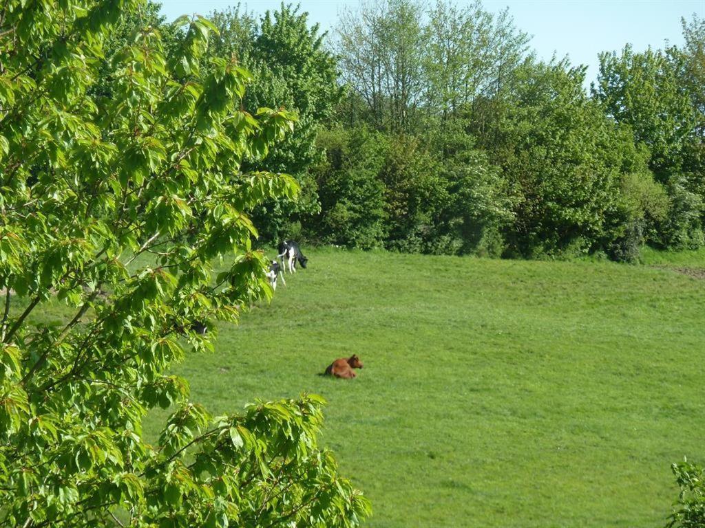 Ferienhof Jepsen Westerholz Номер фото